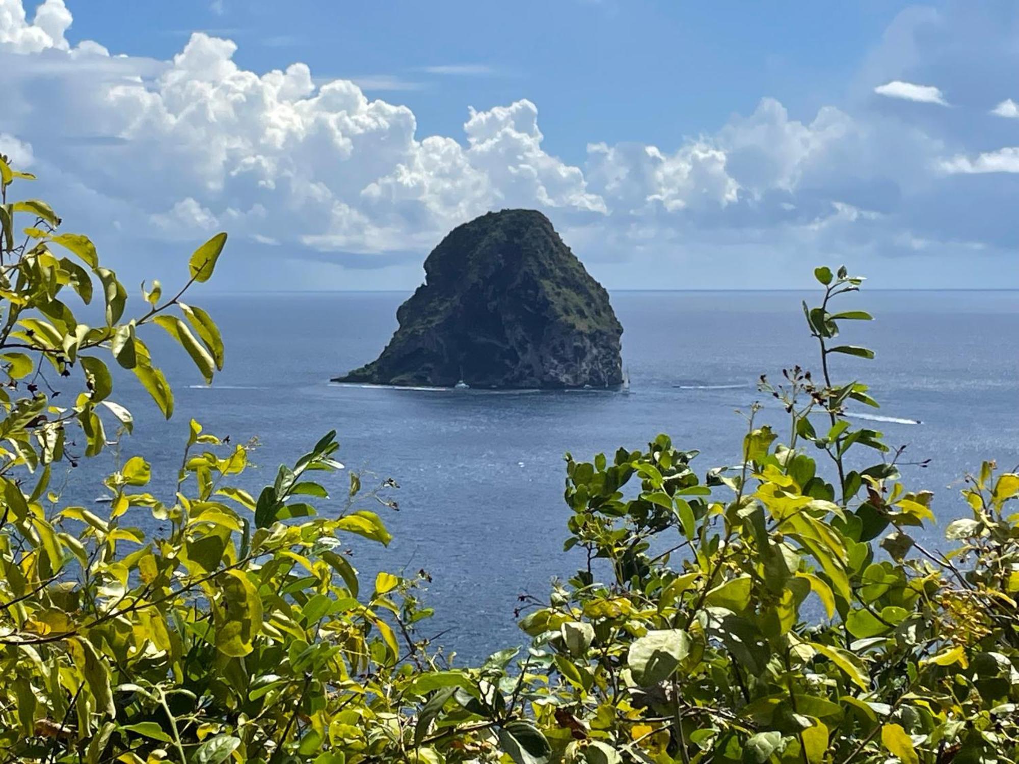 Martinique Studio Escaเลอ ดีอามงต์ ภายนอก รูปภาพ